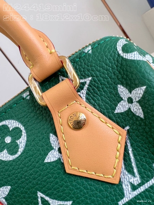 WIS VUITTON SPEEDY LOUIS 18 1002